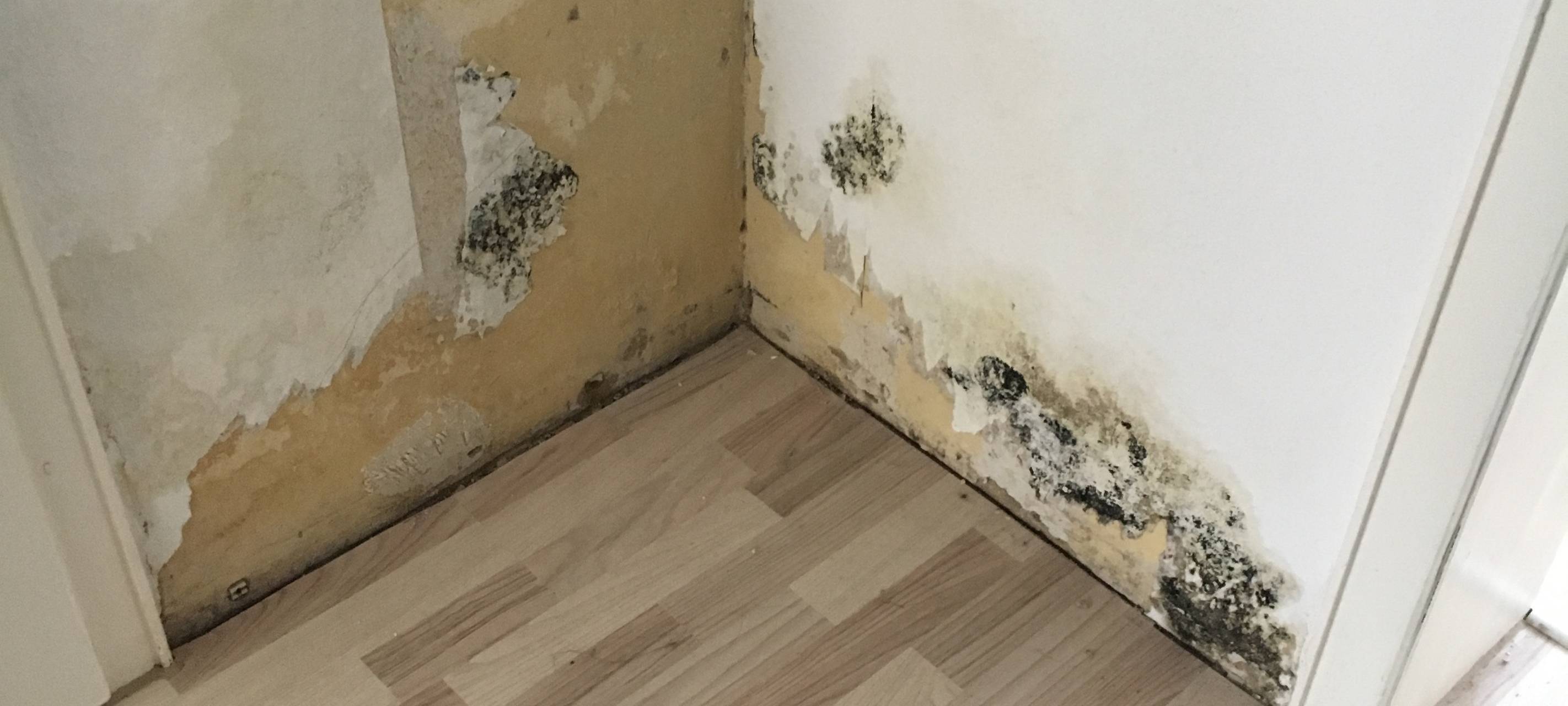 Vier Wuppertaler Schrottimmobilien durchsucht