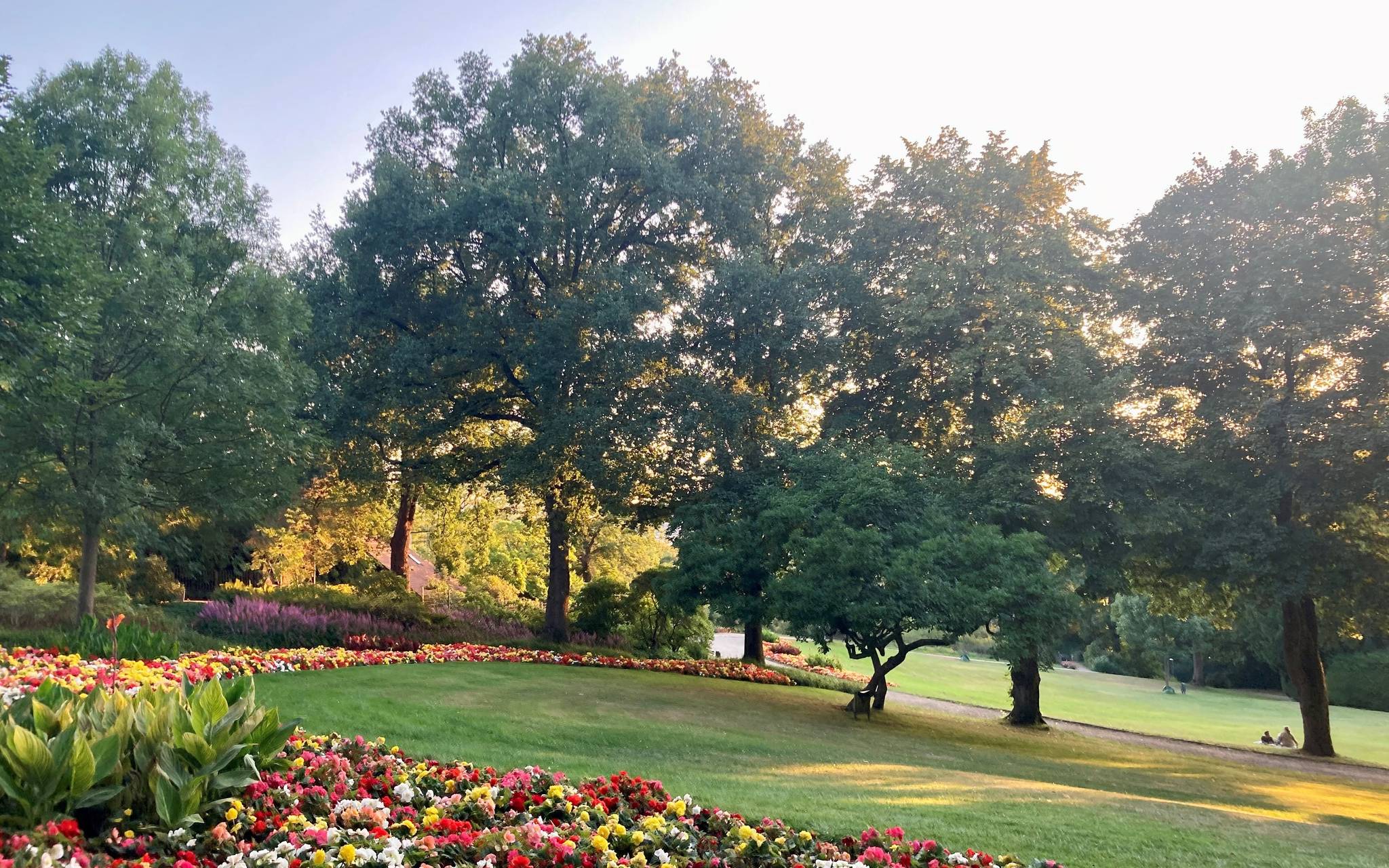 Smarte Technik hilft unseren Bäumen
