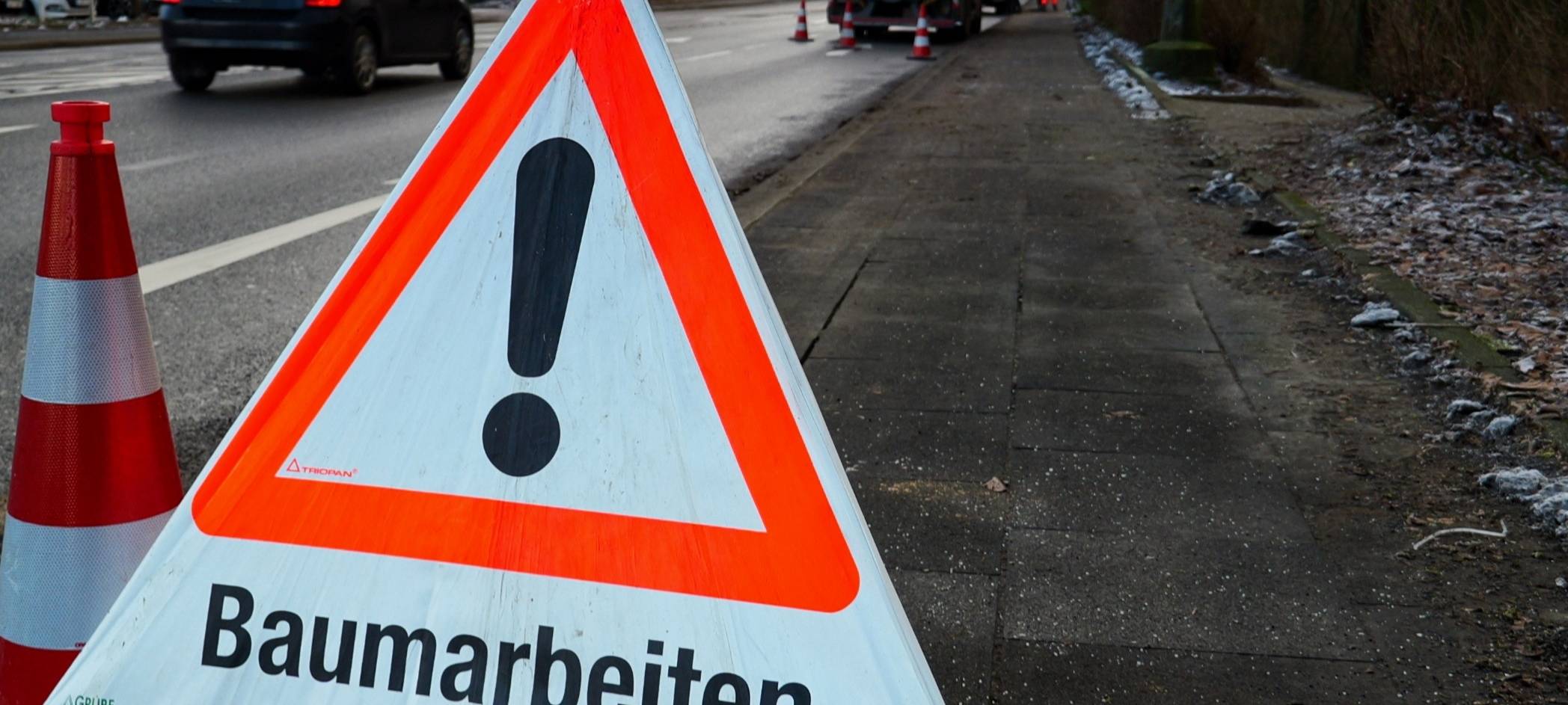 67 Bäume werden ab heute gefällt