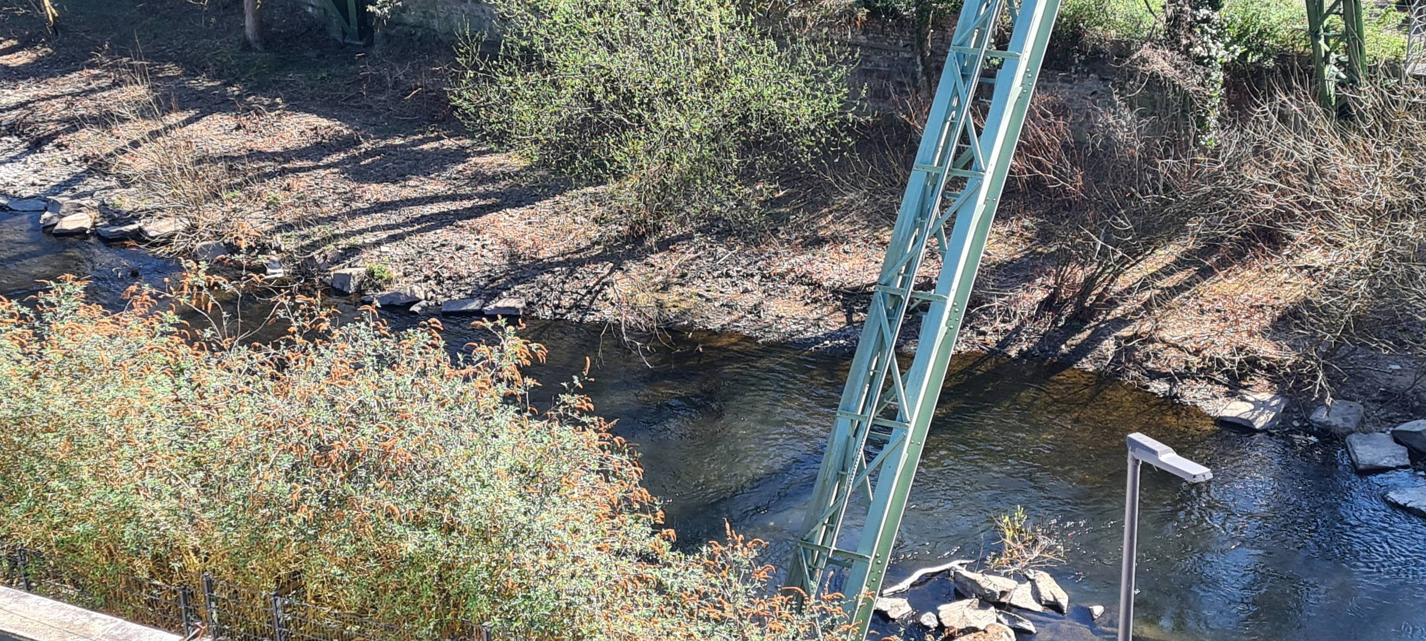 Großes Projekt zum Klimawandel