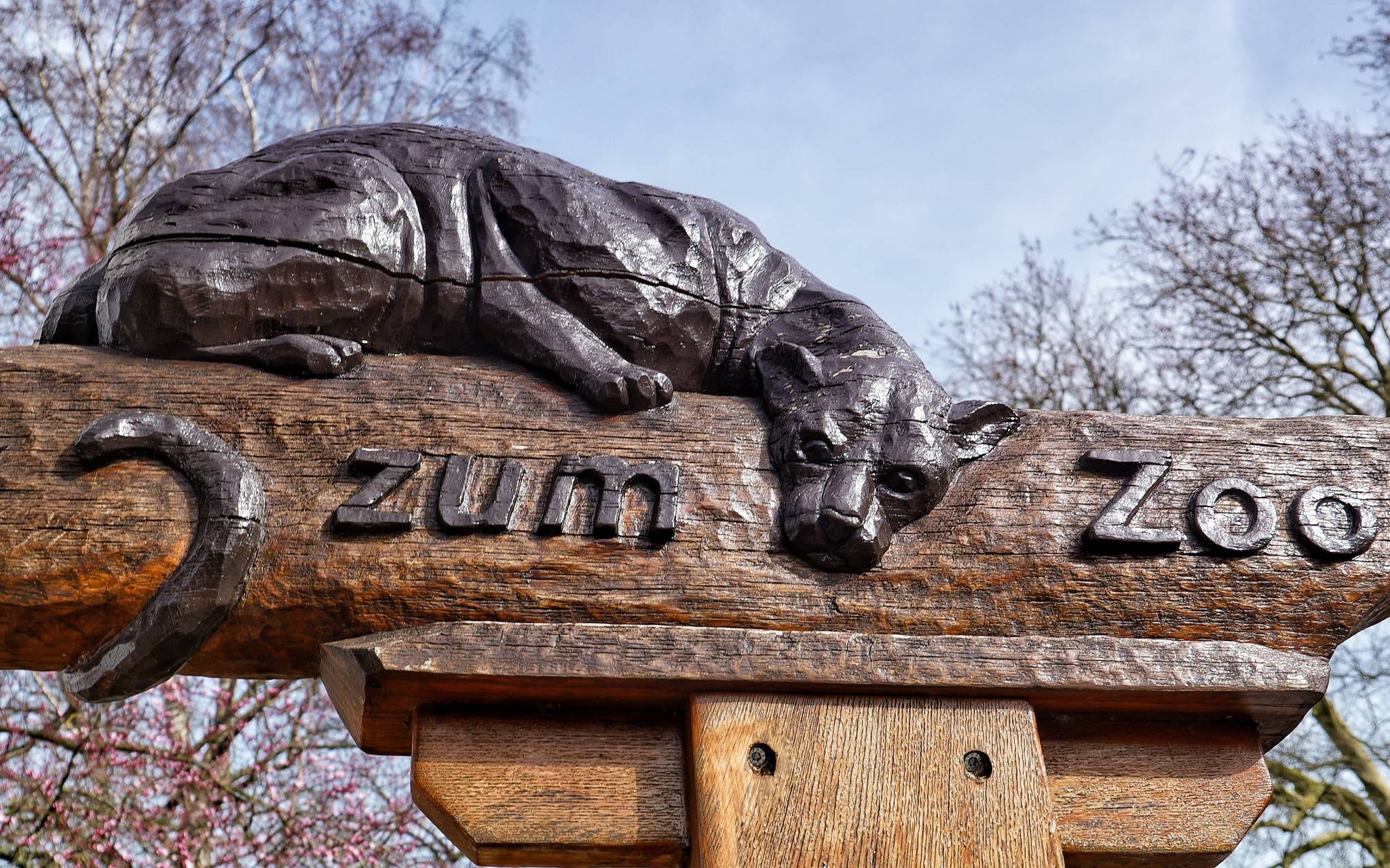 Neue afrikanische Gebiete für den Zoo