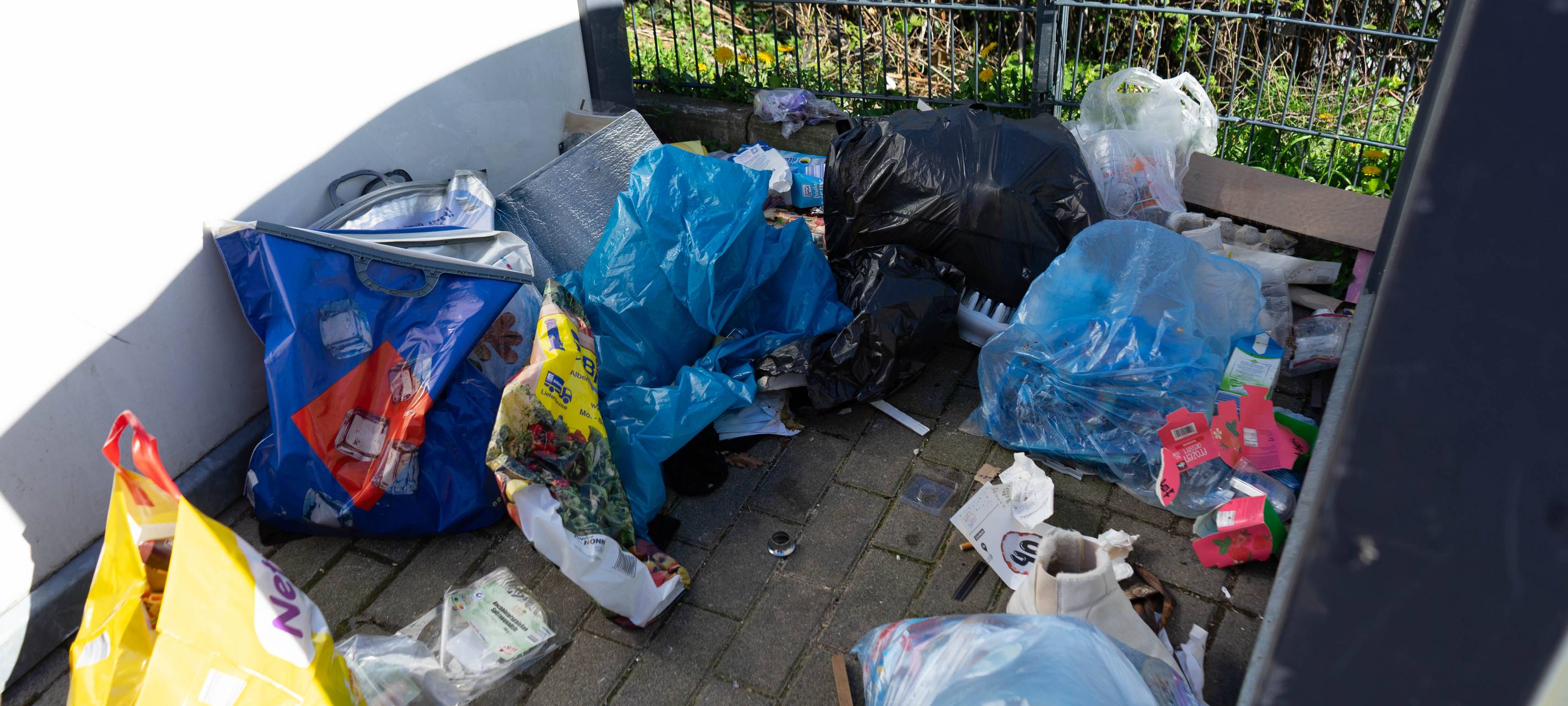 Illegale Müllkippen locken immer mehr Ratten an