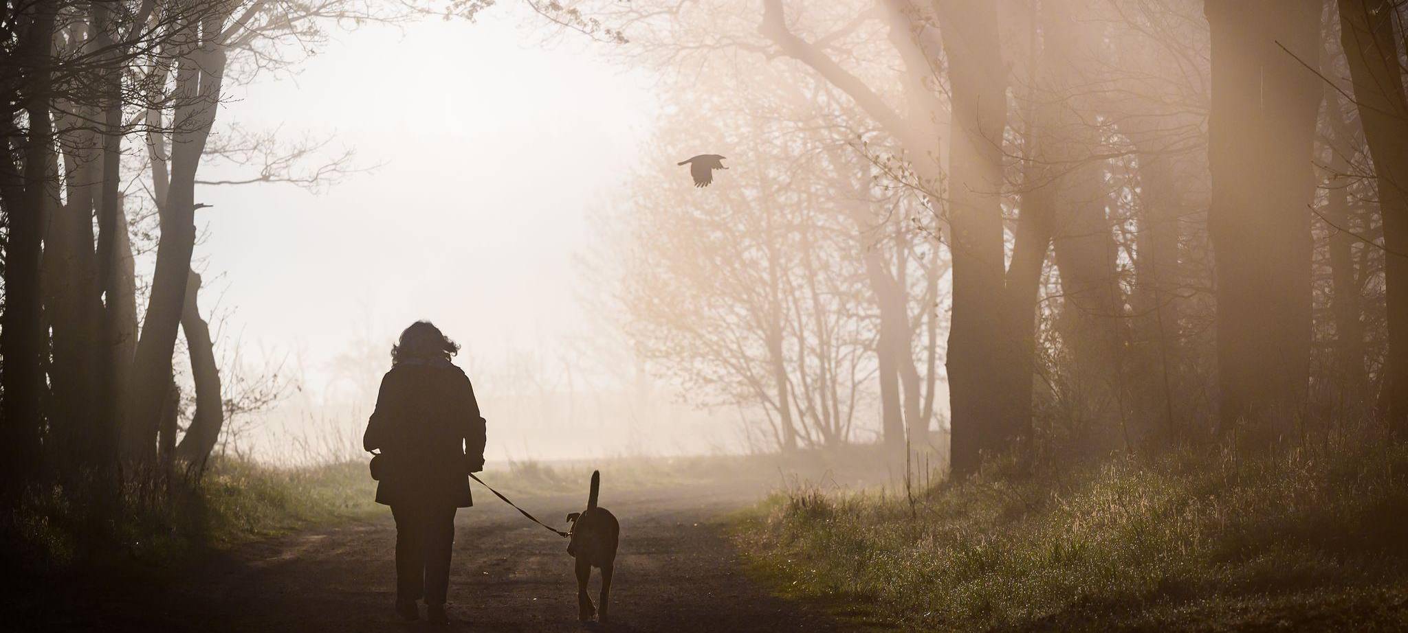 Morgenstimmung in Brandenburg