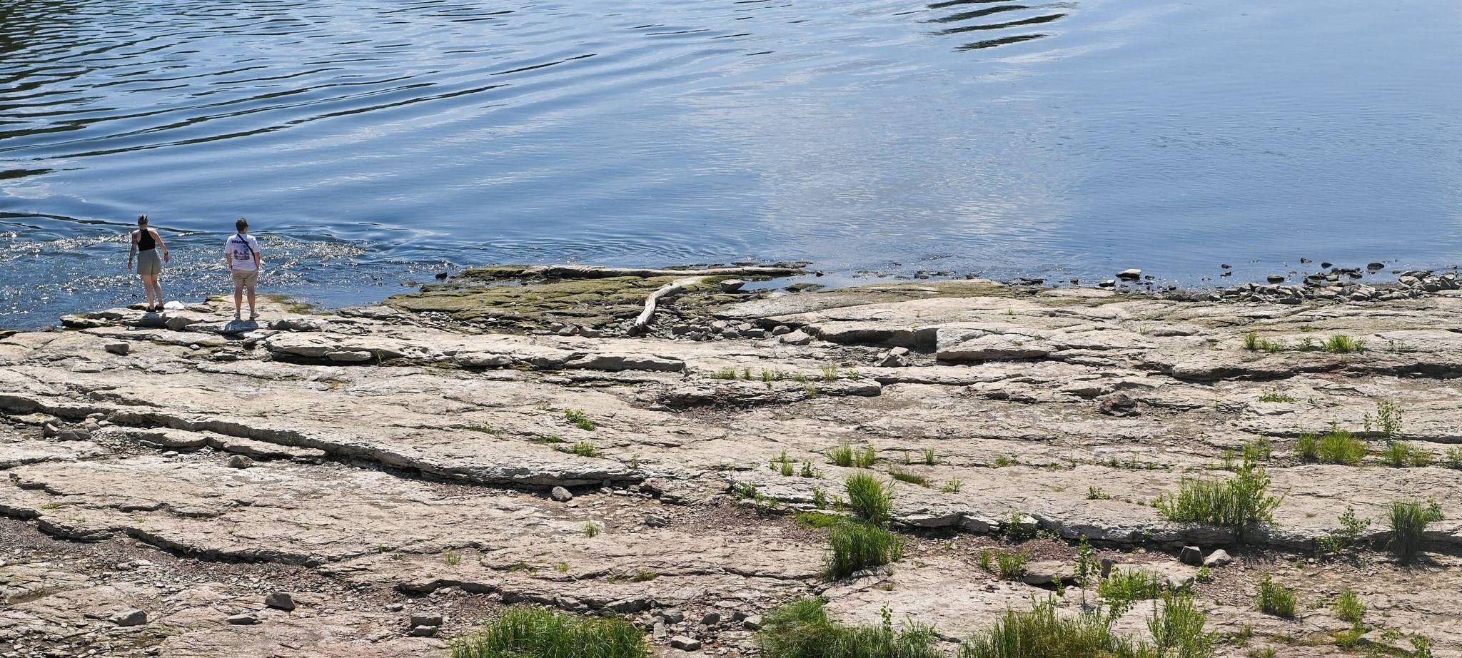 Niedrigwasser an der Elbe