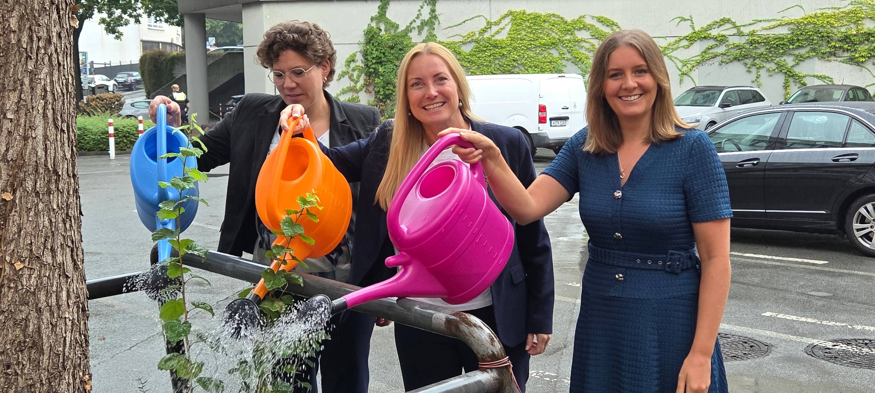 Neue Karte im DigiTal Zwilling für wasserbedürftige Bäume