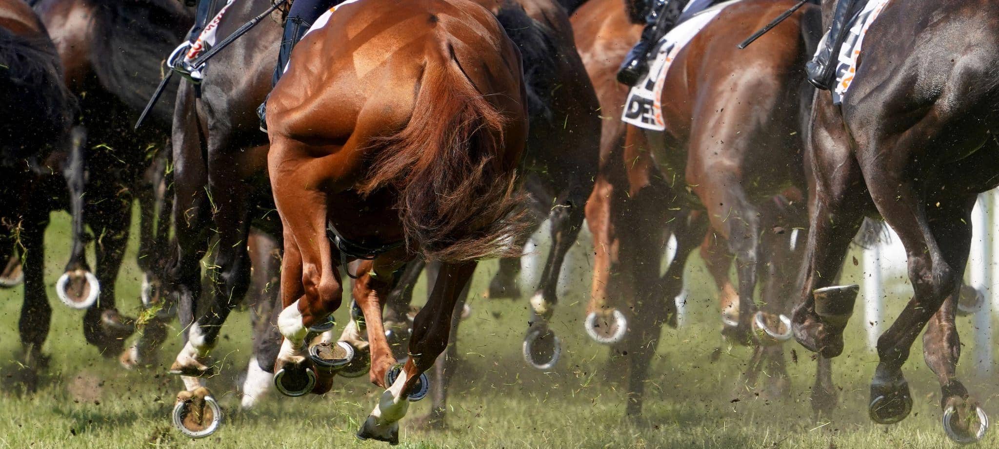 Galopp-Rennen in Hamburg-Horn